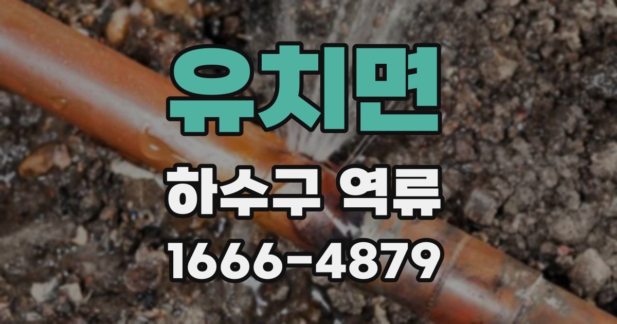 유치면 하수구 역류