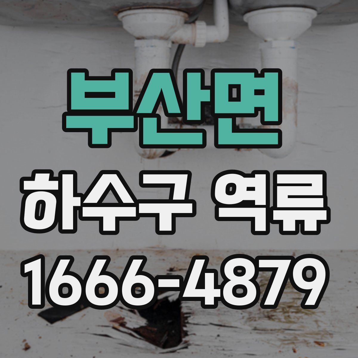부산면 하수구 역류