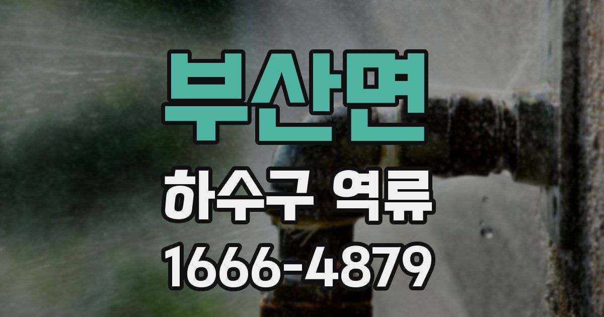 부산면 하수구 역류