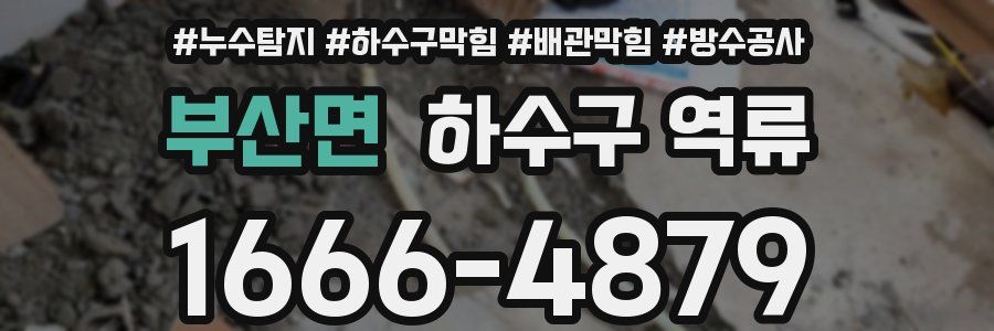부산면 하수구 역류