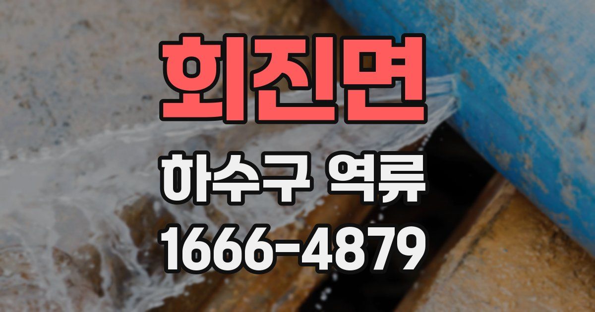 회진면 하수구 역류