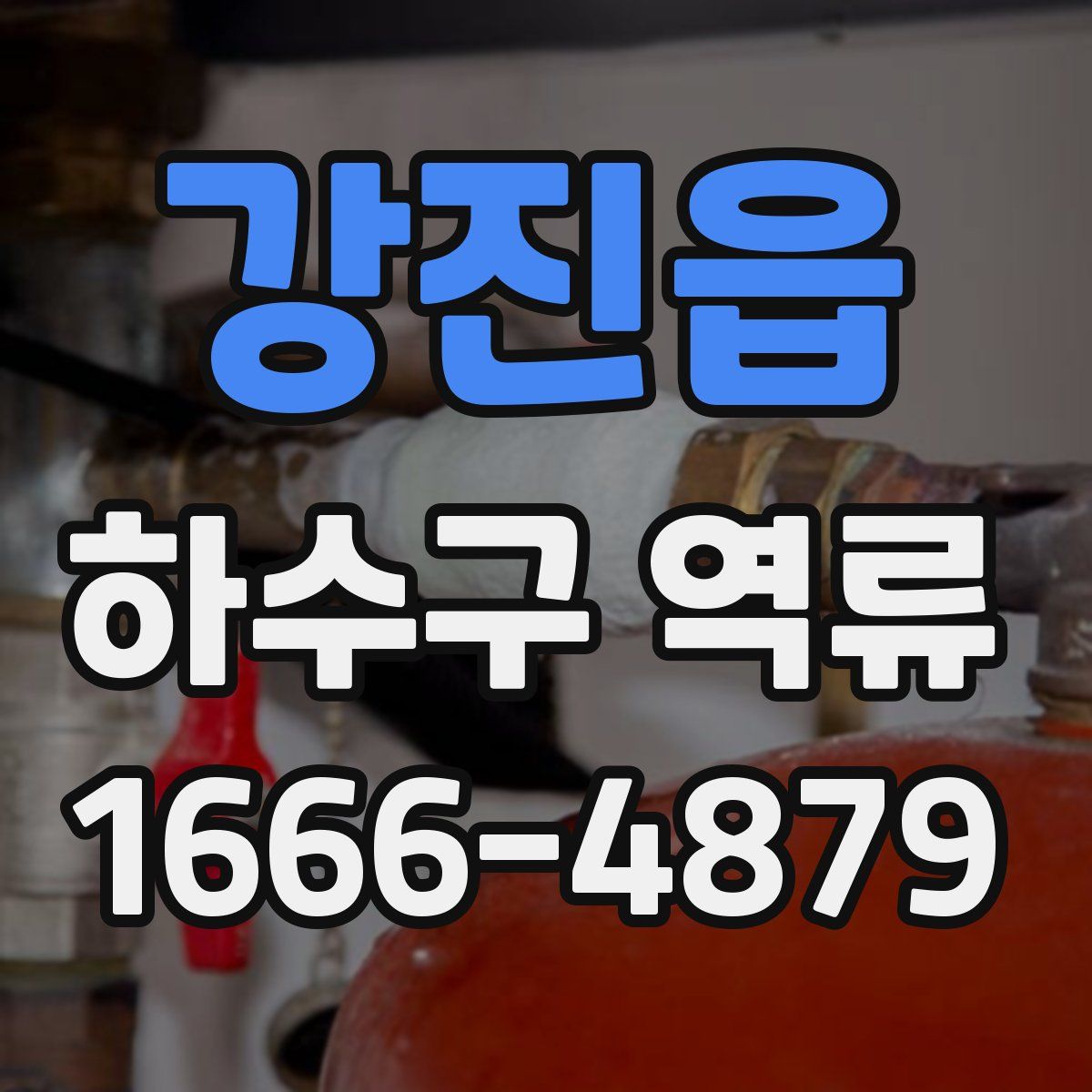 강진읍 하수구 역류