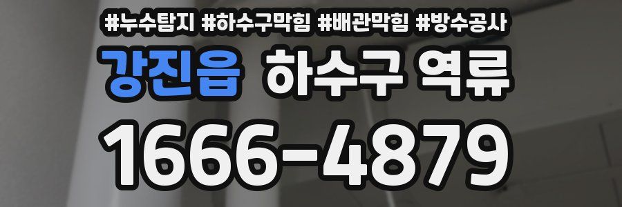 강진읍 하수구 역류