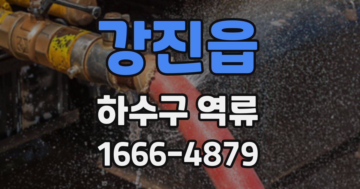 강진읍 하수구 역류