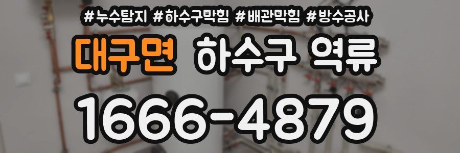 대구면 하수구 역류