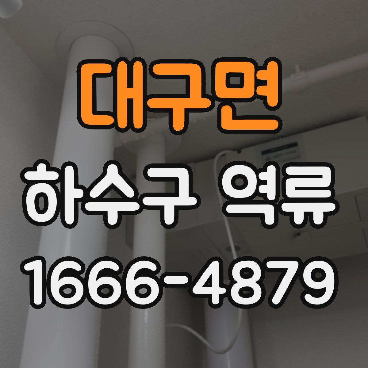 대구면 하수구 역류