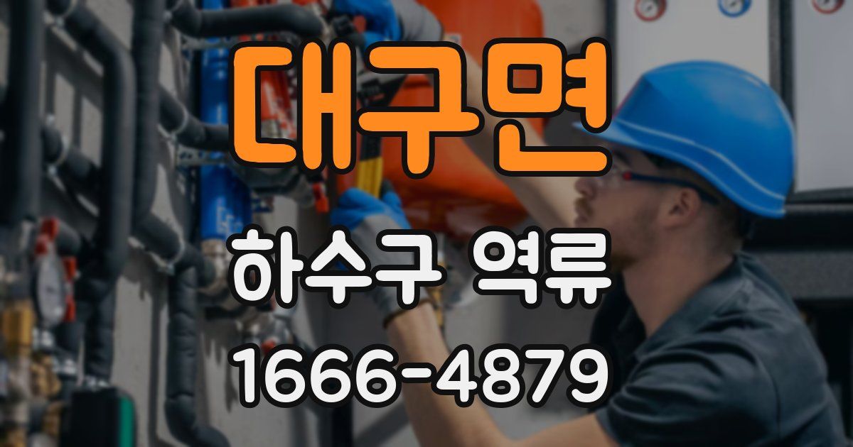 대구면 하수구 역류