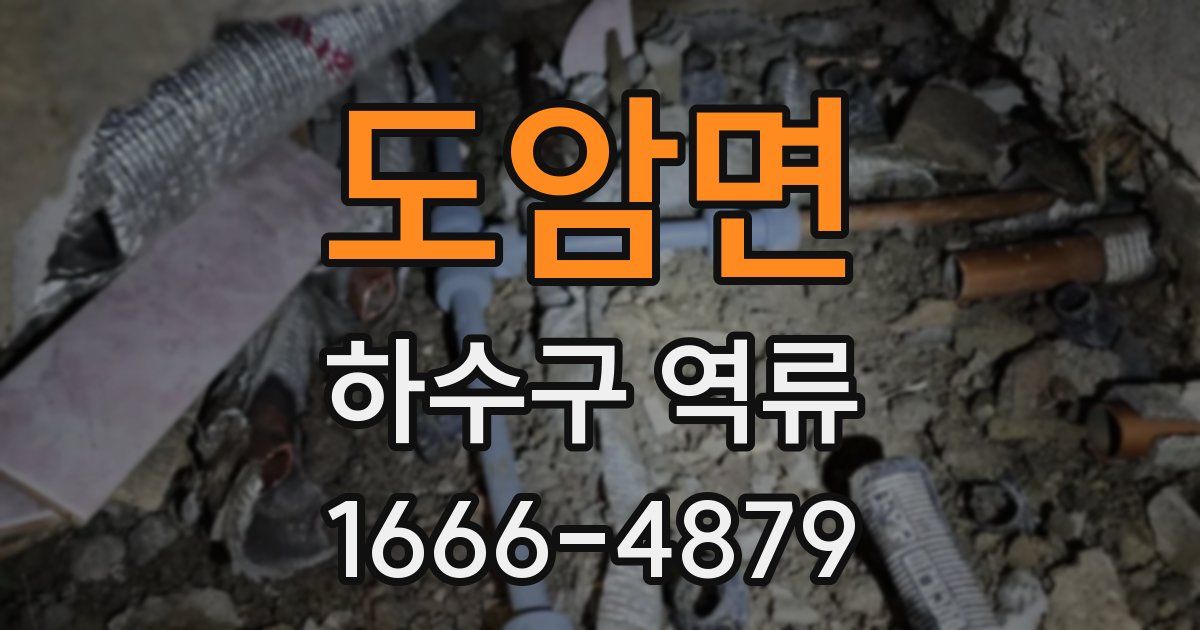 도암면 하수구 역류