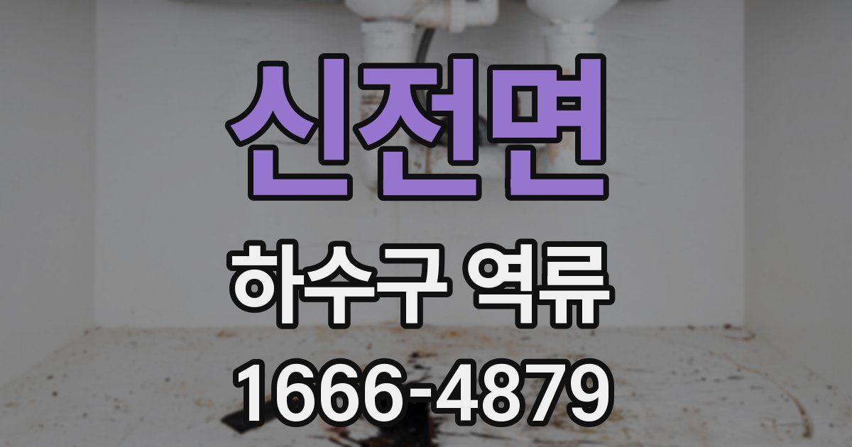 신전면 하수구 역류