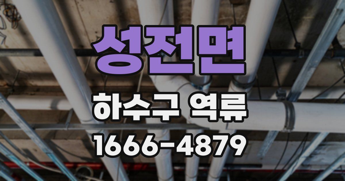성전면 하수구 역류