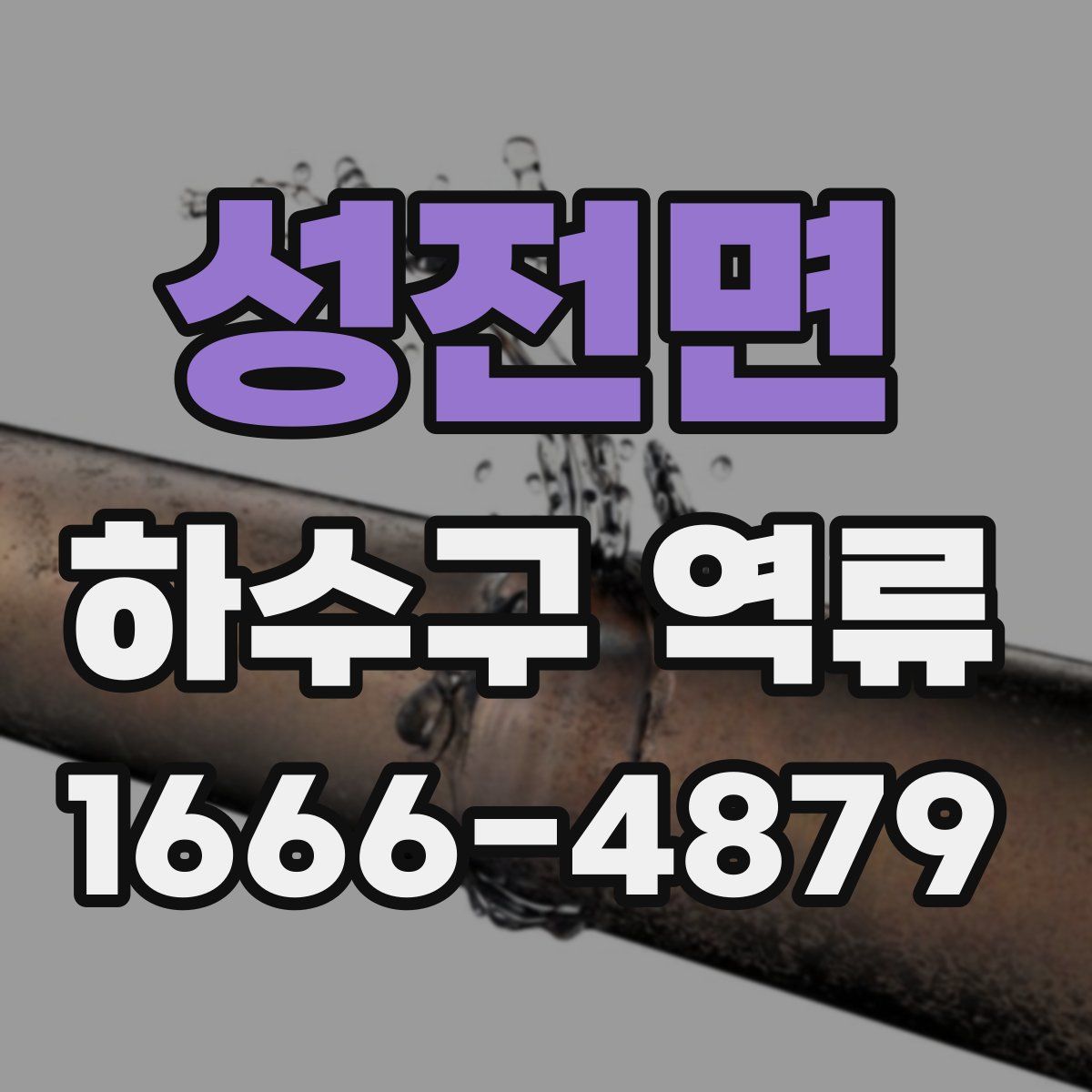 성전면 하수구 역류