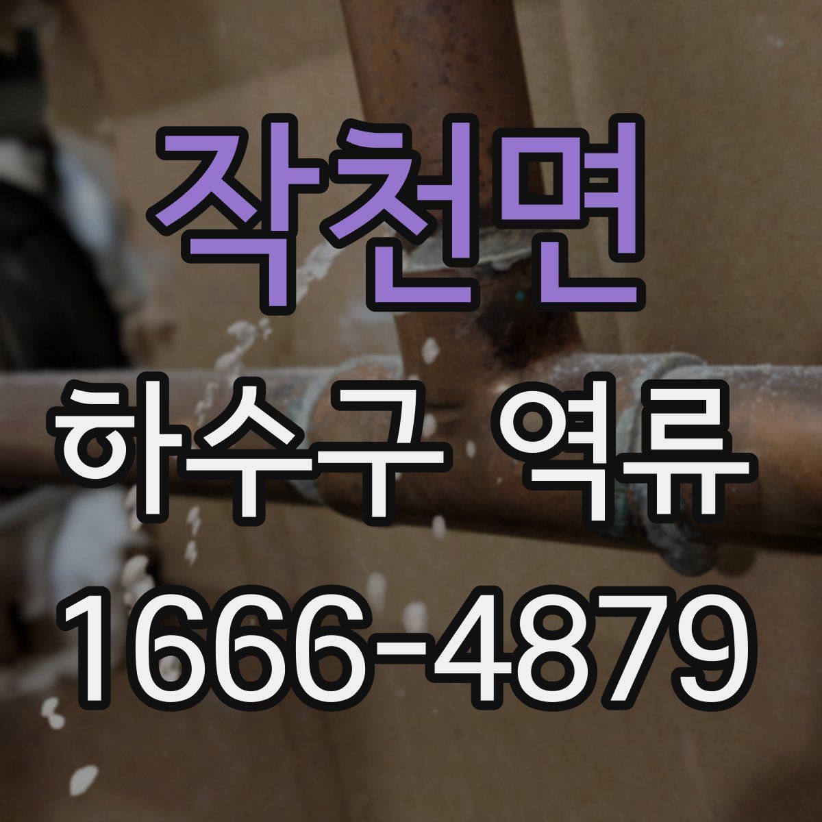 작천면 하수구 역류