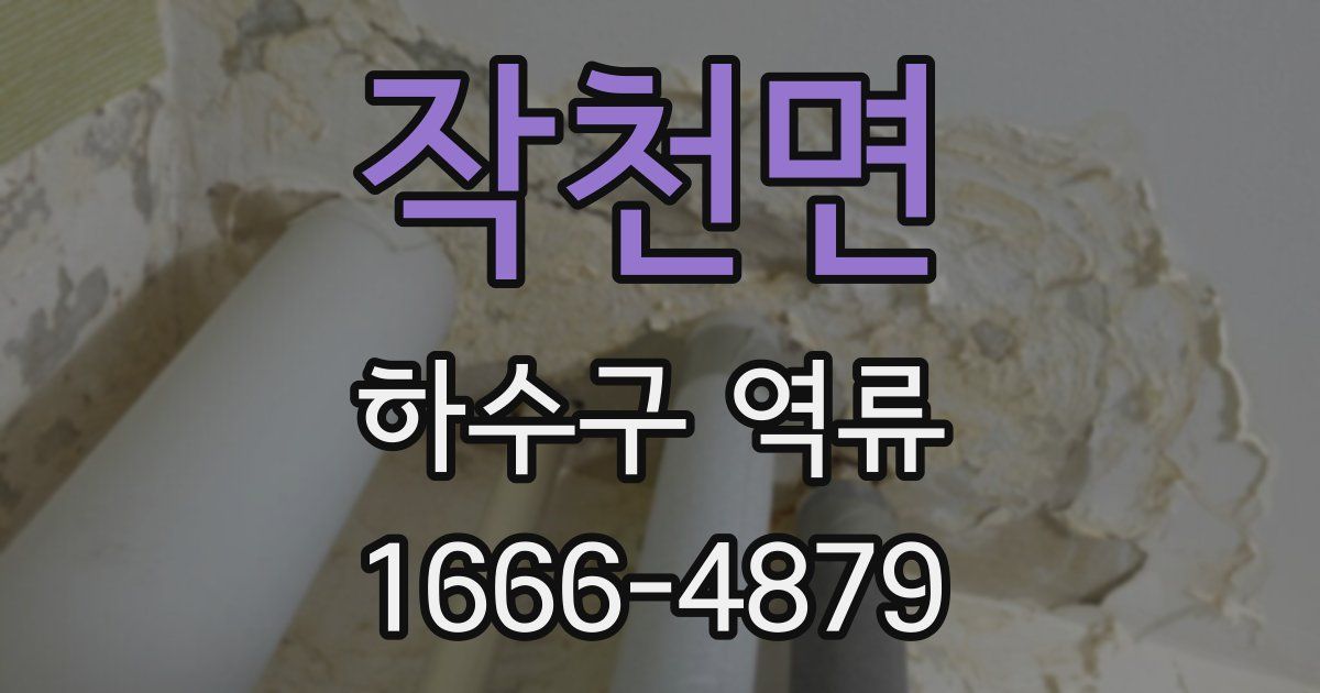 작천면 하수구 역류