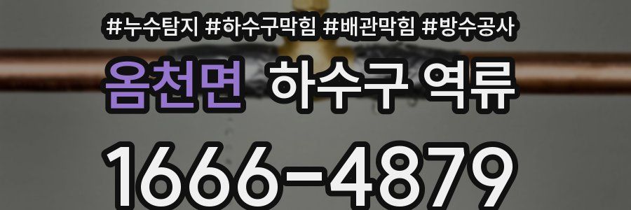 옴천면 하수구 역류