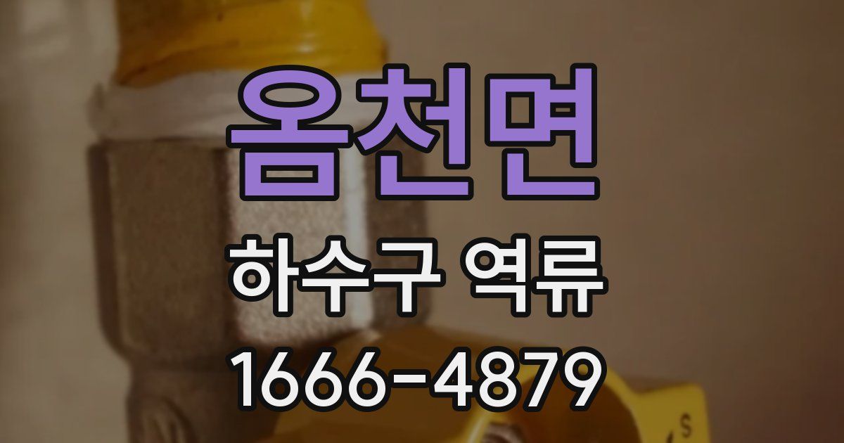 옴천면 하수구 역류