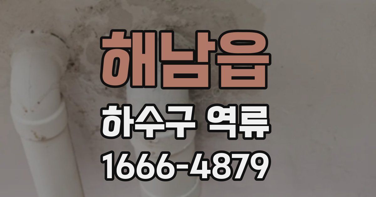 해남읍 하수구 역류