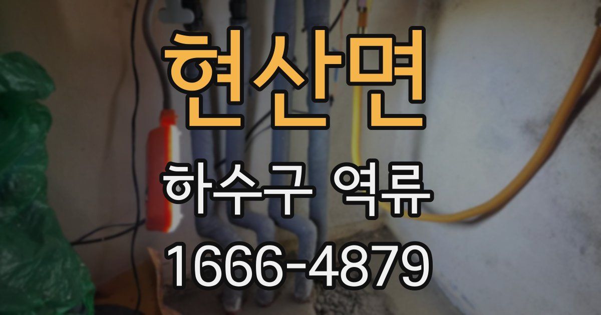 현산면 하수구 역류