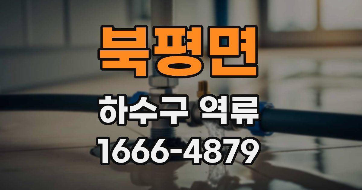 북평면 하수구 역류