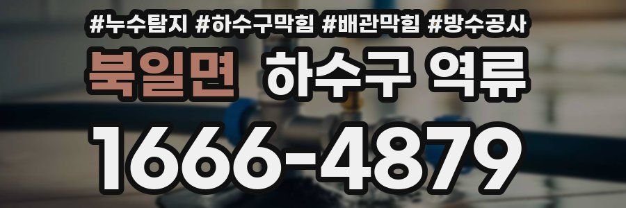 북일면 하수구 역류