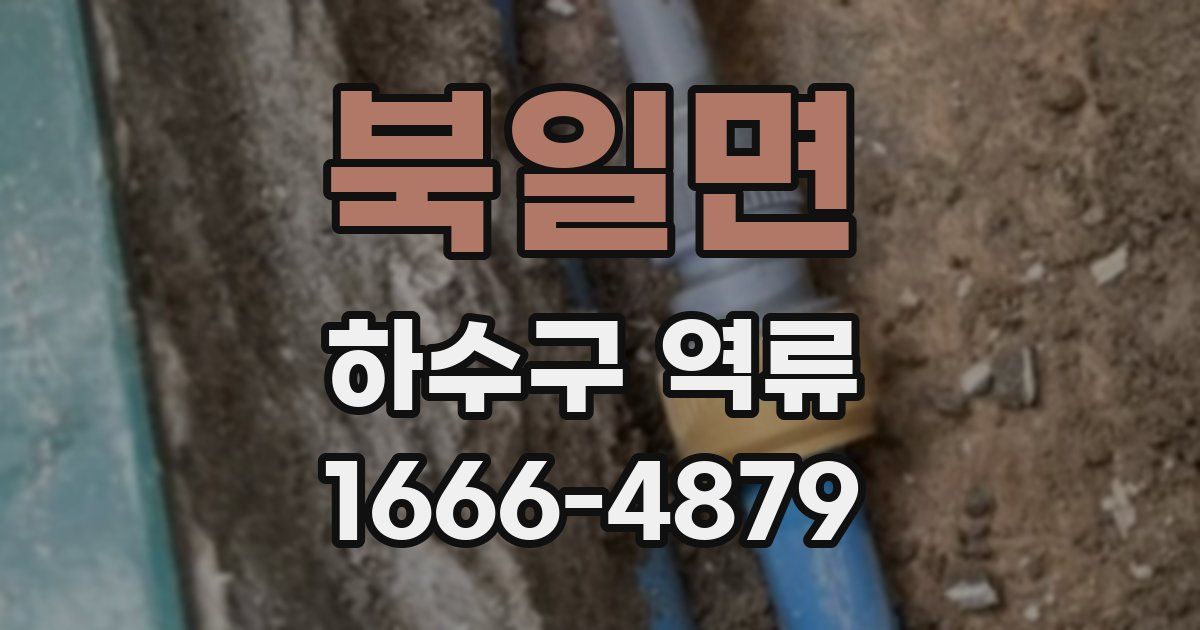 북일면 하수구 역류