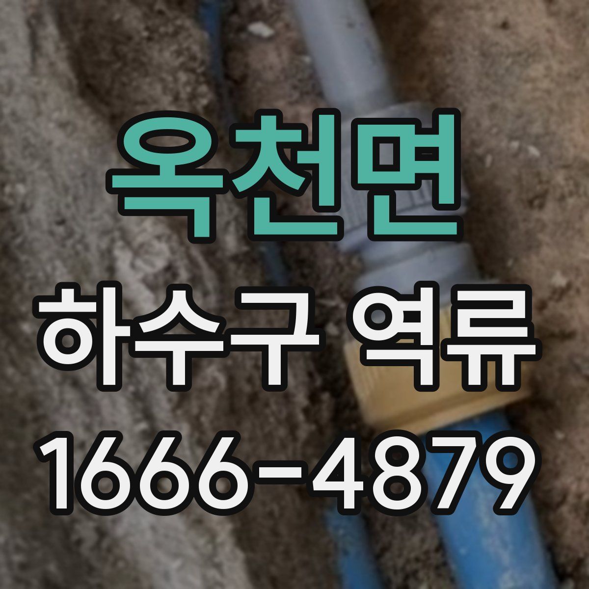 옥천면 하수구 역류