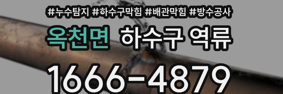 옥천면 하수구 역류