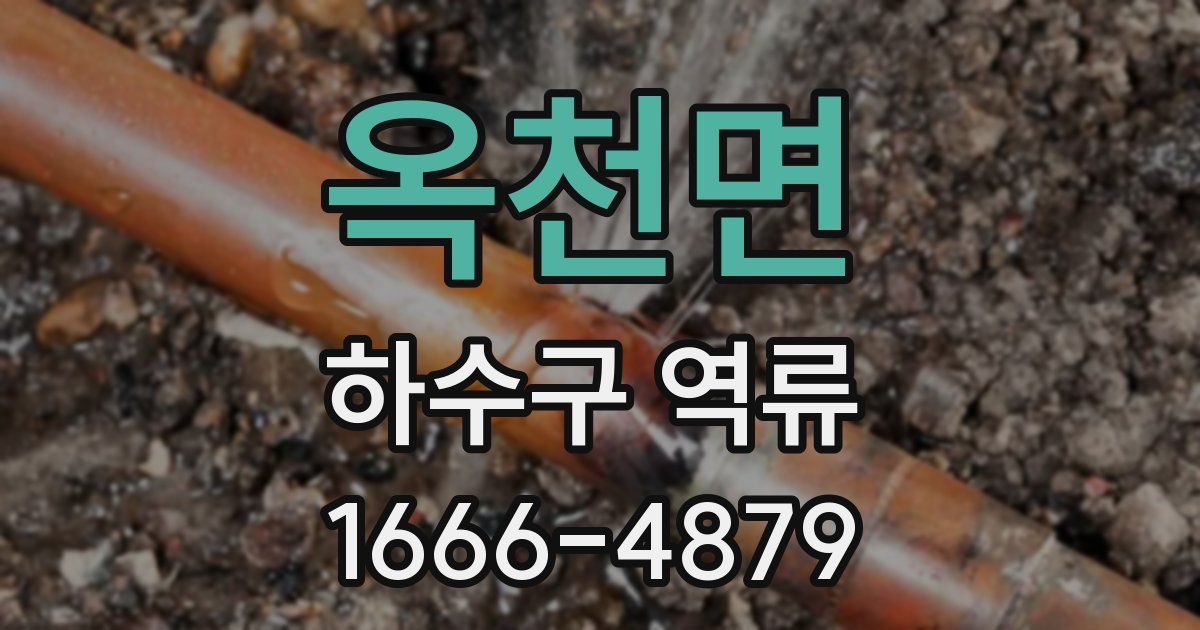 옥천면 하수구 역류