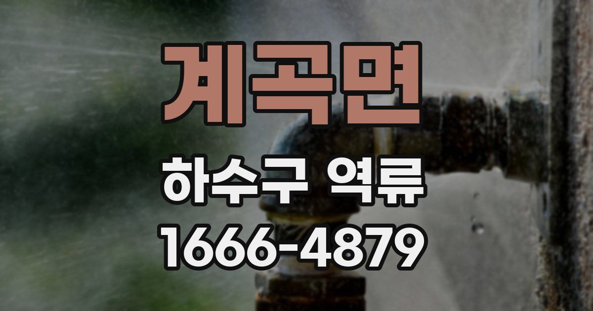 계곡면 하수구 역류