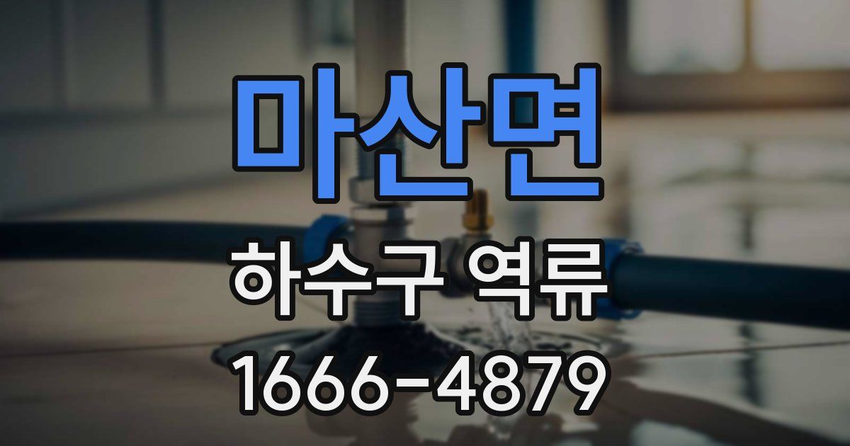 마산면 하수구 역류