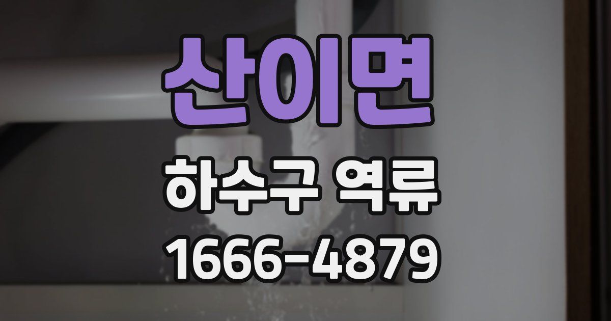 산이면 하수구 역류