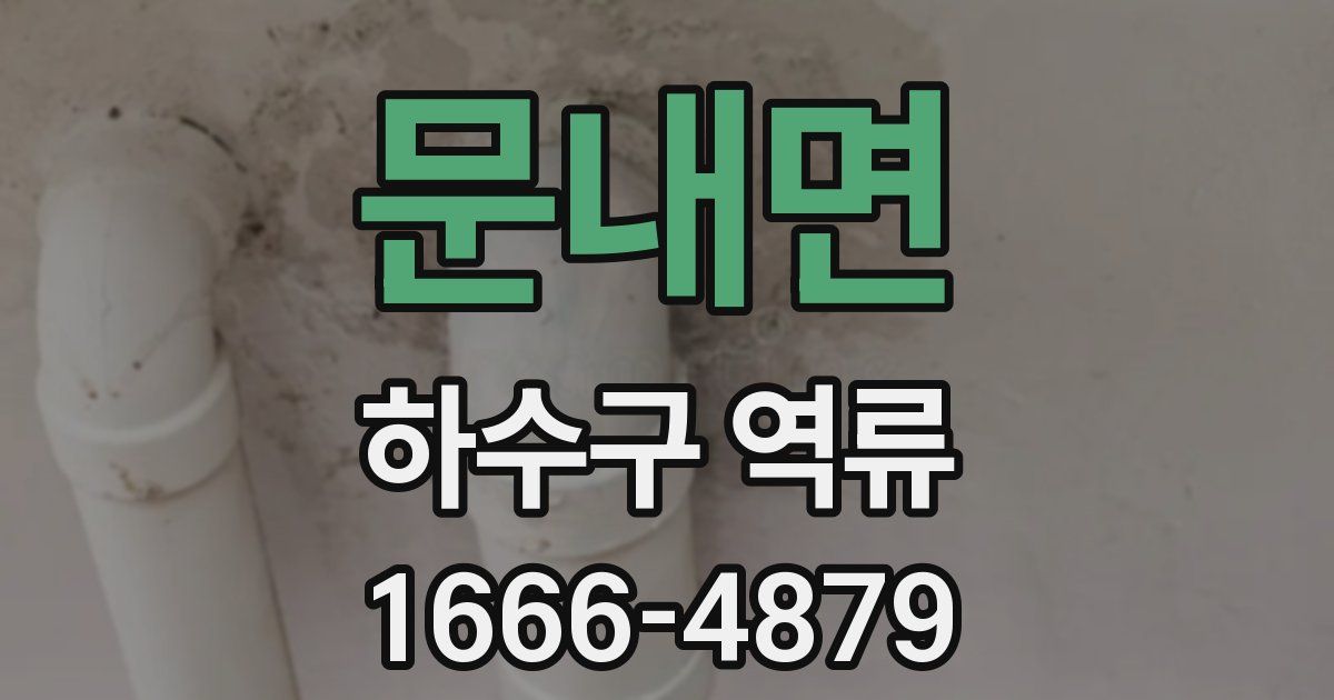 문내면 하수구 역류