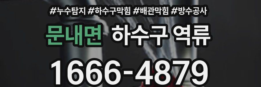 문내면 하수구 역류