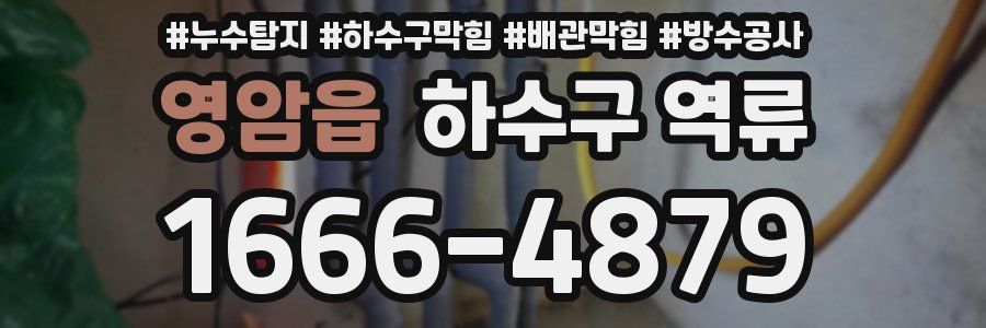 영암읍 하수구 역류