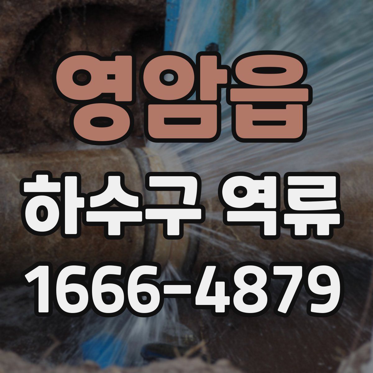 영암읍 하수구 역류