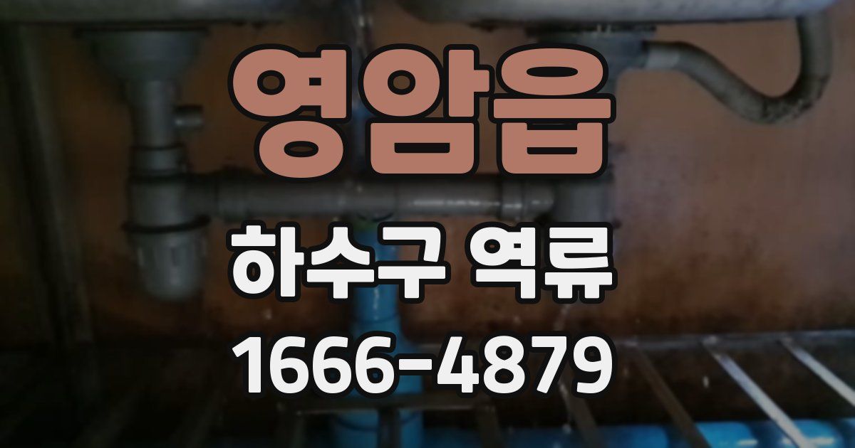 영암읍 하수구 역류