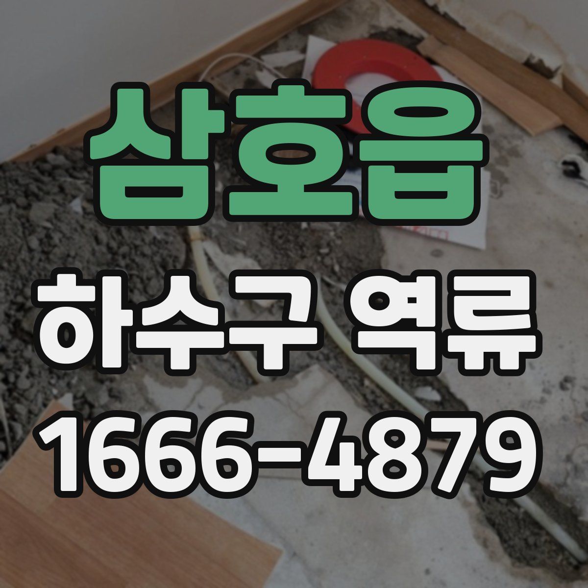 삼호읍 하수구 역류