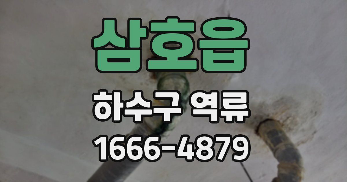 삼호읍 하수구 역류