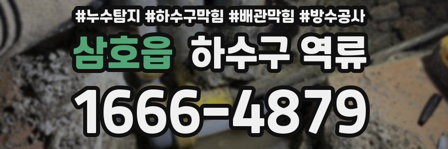 삼호읍 하수구 역류