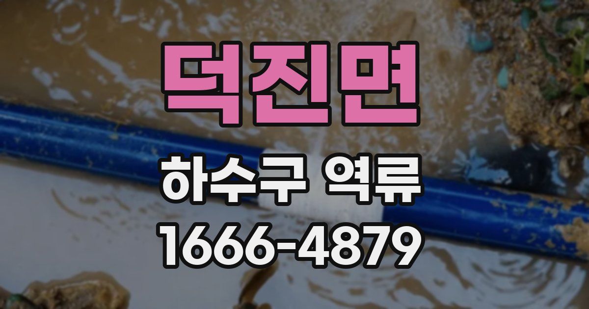 덕진면 하수구 역류
