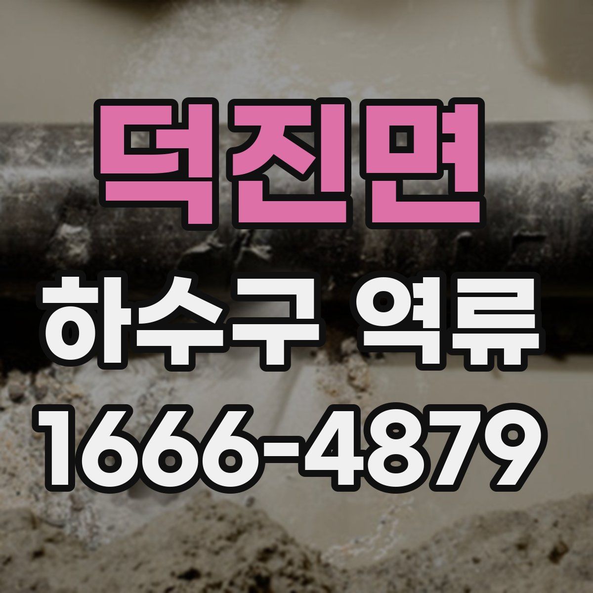 덕진면 하수구 역류