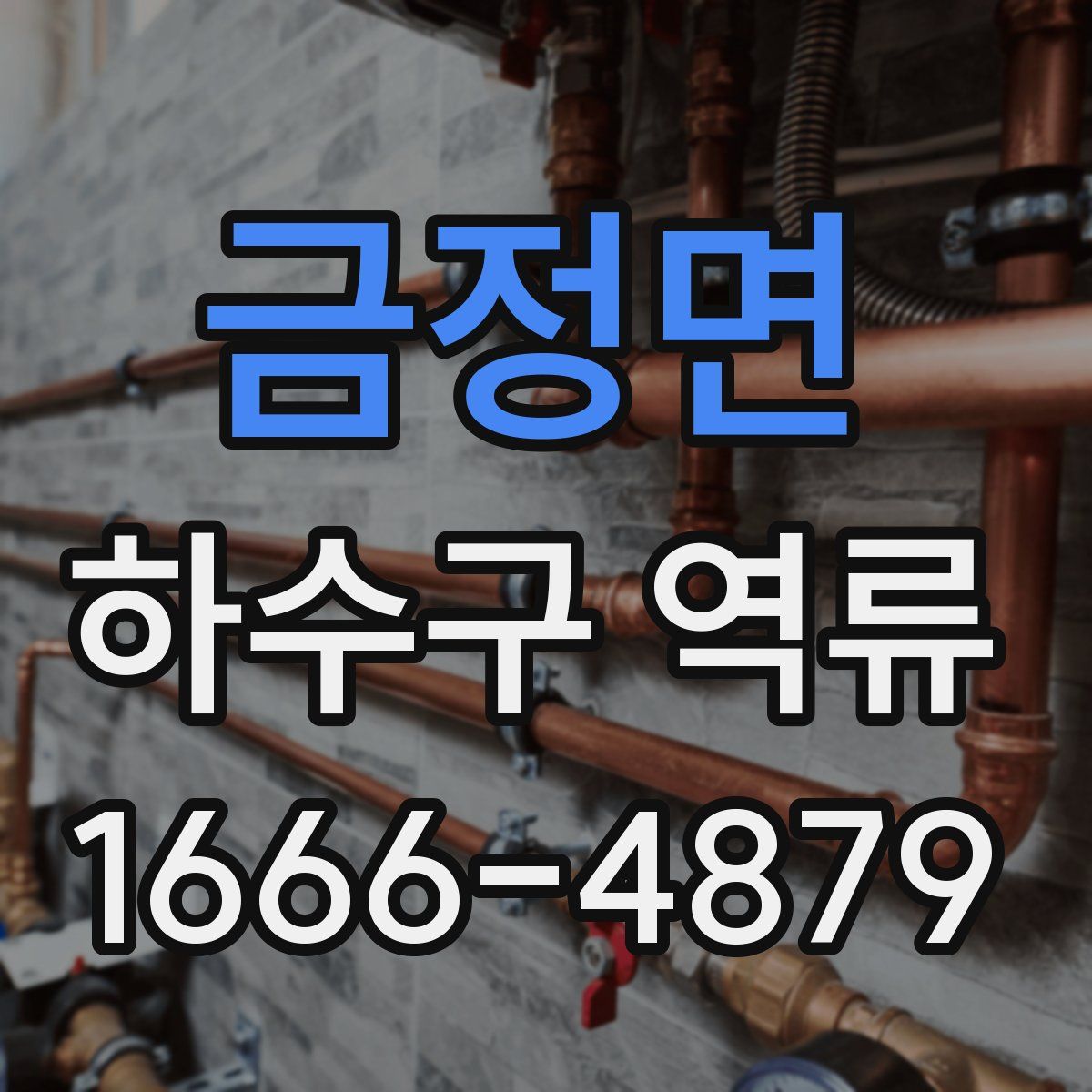금정면 하수구 역류