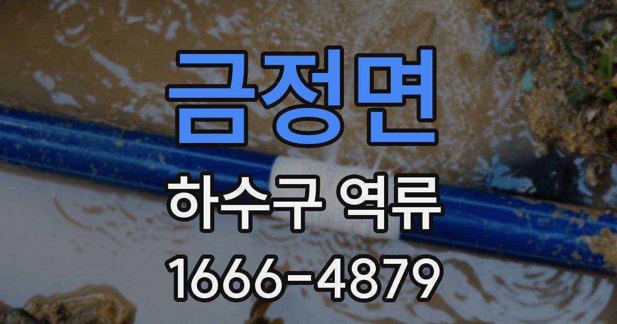 금정면 하수구 역류