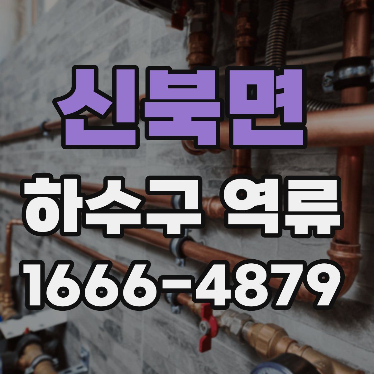 신북면 하수구 역류