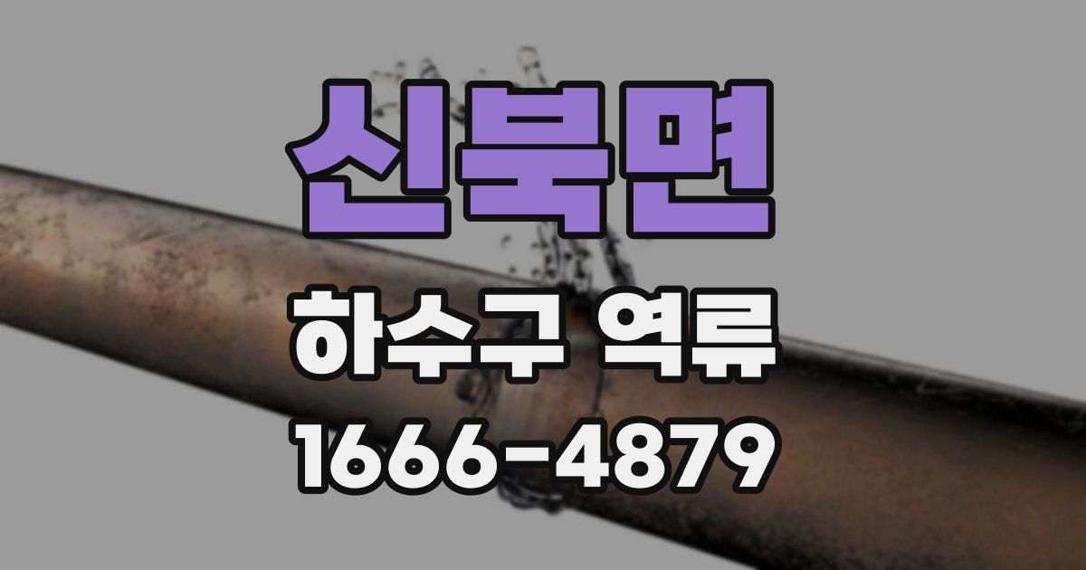 신북면 하수구 역류