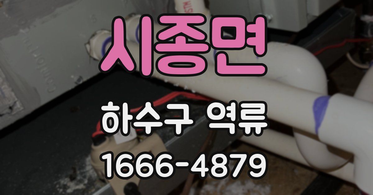 시종면 하수구 역류