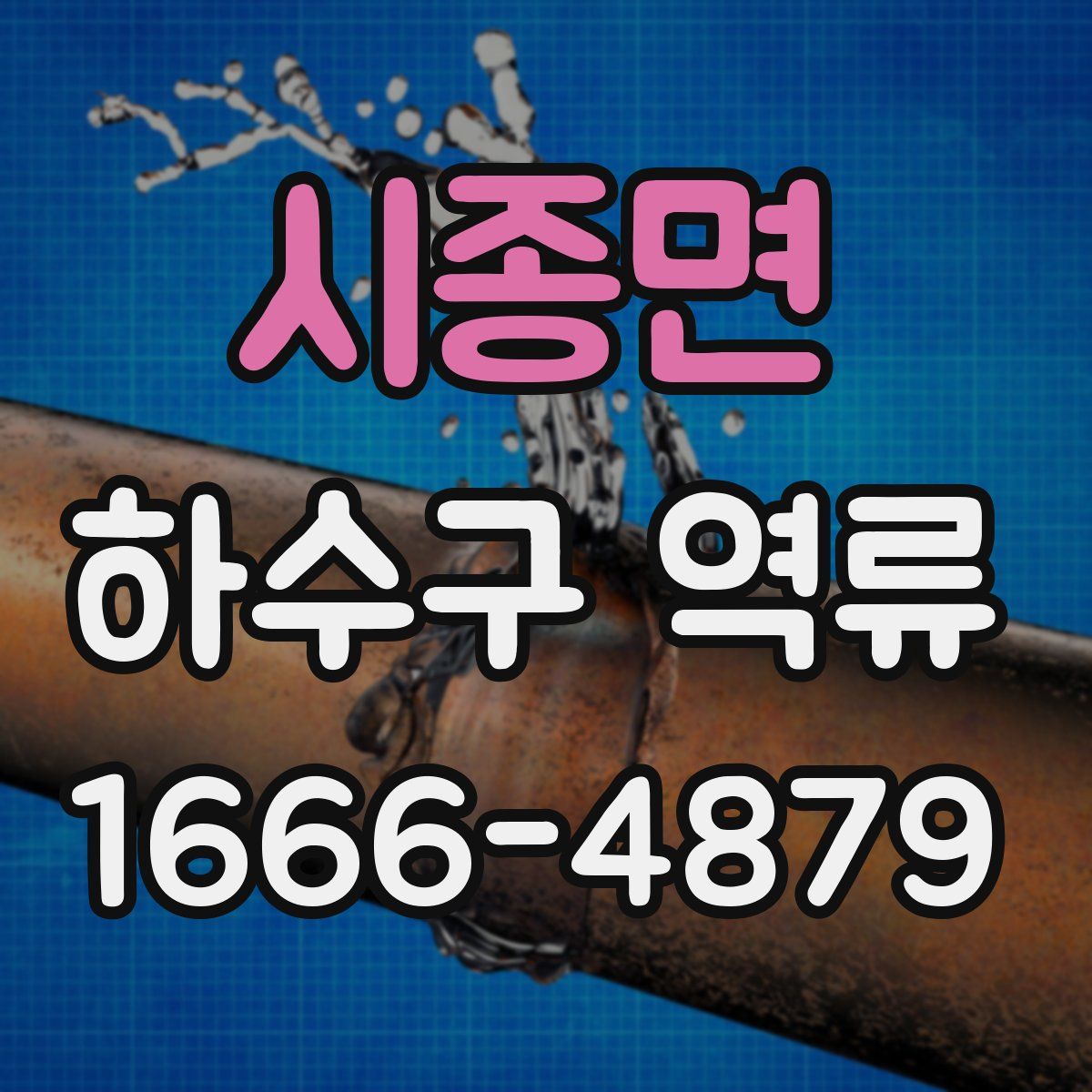 시종면 하수구 역류