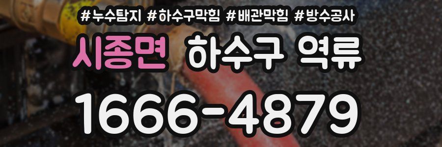 시종면 하수구 역류