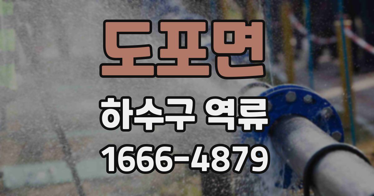 도포면 하수구 역류