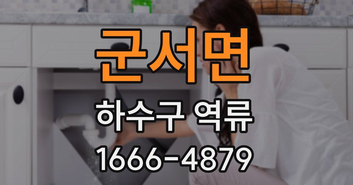 군서면 하수구 역류