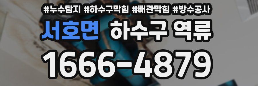 서호면 하수구 역류